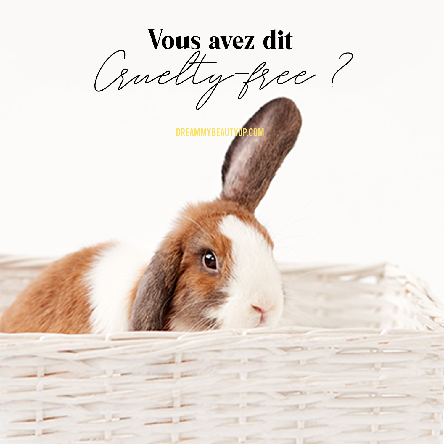 Que Veut Dire Up En Francais Que Veut Dire Dream En Francais - Communauté MCMS