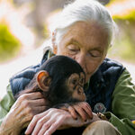 cosmétiques mode vegan - inspiration Jane Goodall
