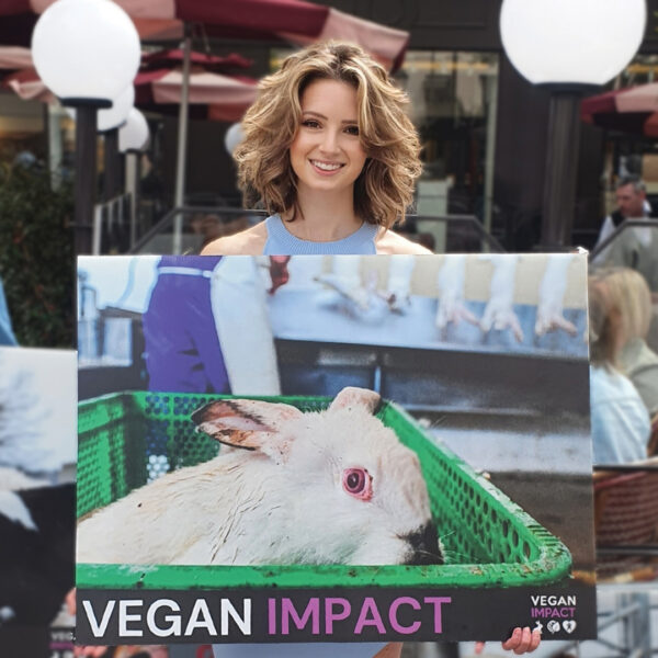 Amandine Teixeira _ activiste pour les animaux - avec Vegan Impact