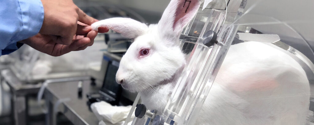 test sur les animaux_savoir si marque cruelty-free
