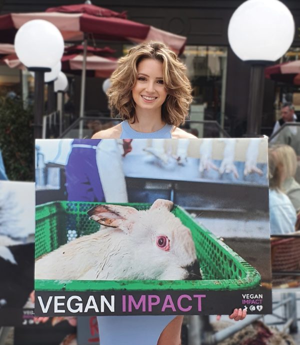 Amandine Teixeira _ activiste pour les animaux - avec Vegan Impact